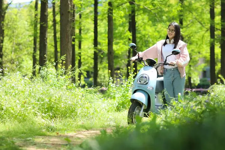 為什么大部分電動車都用鉛酸電池而不是鋰電池?原因是什么?